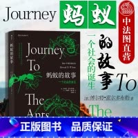 [正版]出版公司直发 蚂蚁的故事 全方位讲述蚂蚁进化历程 蚂蚁习性 蚂蚁社会诞生 通过蚂蚁社会反观人类社会 昆虫科普蚂