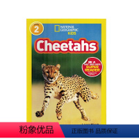 [正版]进口英文原版绘本National Geographic Kids Level2:Cheetahs 国家地理分级