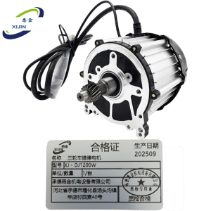 悉金 三轮车维修电机 XJ - DJ1200W 台