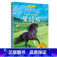 单本全册 [正版]黑骏马[英]安娜·塞维尔 夏洛书屋·经典版 方晓青 以一匹马的视角洞察人间百态 动物自传文学开山之作