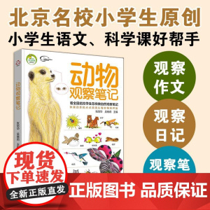 我的大自然观察笔记 动物观察笔记 思维观察训练科普绘本小学课外阅读百科观察力训练全书6-12岁小学生手绘原创写作培养书科