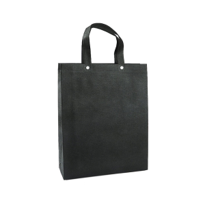 秦泰(Cqint) QTWD-021 33.5*10.5*44cm 双扣文件袋 (计价单位:个) 黑色