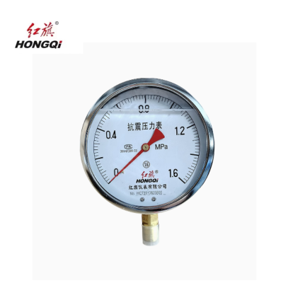 红旗 不锈钢耐震压力表定制检测款 YTN-150BF 1.6MPA 块