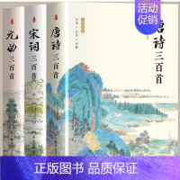 宋词三百首+元曲三百首+唐诗三百首 [正版] 苏东坡传 八年级课外阅读书目 苏轼自传诗词读本名人传记 初中生苏东坡新传历