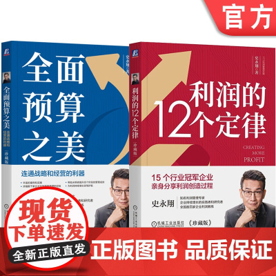 套装 利润的12个定律+全面预算之美 连通战略和经营的利器 珍藏版套装全2册 史永翔 YTT利润管理实践 财务管理 企业