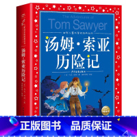 汤姆索亚历险记 [正版]海豚童书 小王子书 注音版中文儿童绘本经典世界名着1-3年级小学生读物一年级二年级课外阅读带拼音