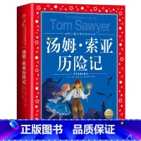 汤姆索亚历险记 [正版]海豚童书 小王子书 注音版中文儿童绘本经典世界名着1-3年级小学生读物一年级二年级课外阅读带拼音