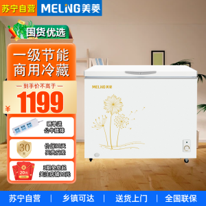 美菱(MELING) BC/BD-300DT 300升冰柜家用商用 大冷冻柜冷藏冷冻转换柜大容量一级节能商用冷藏展示柜