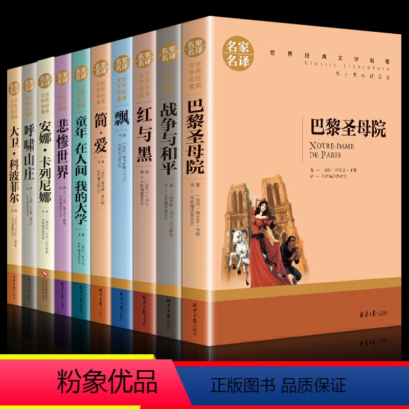 世界经典文学名著(全套10册) [正版]全10册世界经典文学名著名家名译安娜卡列尼娜简爱红与黑战争与和平巴黎圣母院飘悲惨