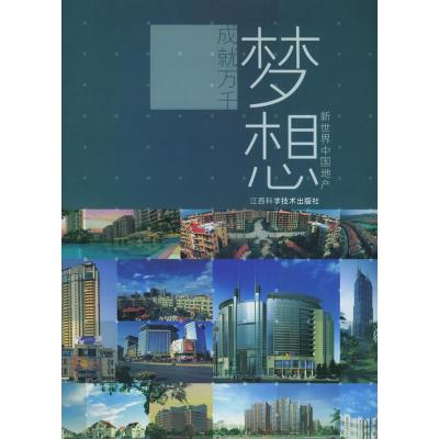 正版成就万千梦想贝思出版有限公司书店中国经济概况书籍