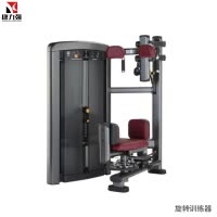 康力强LS521商用躯干转体腰腹转动扭腰旋转肌肉专项训练局部型力量器械