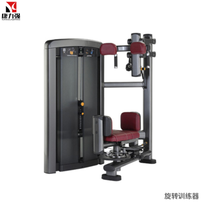 康力强LS521商用躯干转体腰腹转动扭腰旋转肌肉专项训练局部型力量器械