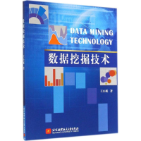 音像数据挖掘技术王小妮