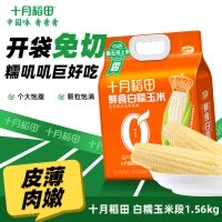 十月稻田鲜食白糯玉米1.56kg