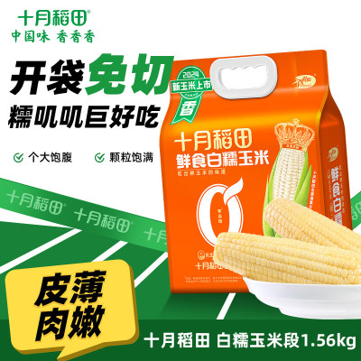 十月稻田鲜食白糯玉米1.56kg