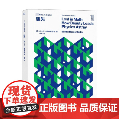 第一推动丛书 物理系列 迷失 扎比内·霍森费尔德 著 审美判断如何驱动当代物理学研究 科普读物