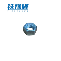 铁豫隆 304不锈钢螺帽 M3/个
