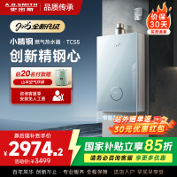 史密斯佳尼特[小精钢TCS5]16升精钢燃气热水器 国家补贴 JSQ31-TCS5 安全守护 持久恒温大水量 新品