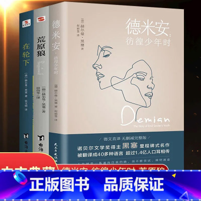 [正版] 全3册德米安彷徨少年时+荒原狼+在轮下 诺贝尔黑塞经典小说作品集黑塞的书防弹少年团外国小说现当代文学书籍