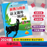 [单元检测]语文课外阅读A版 小学二年级 [正版]2024新版新黑马阅读语文课外阅读训练A版通用版小学二年级全一册2年级