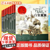 沈石溪动物小说全集正版套装画本第一辑8册的书大全系列儿童文学 最后一头战象小学生四五六年级课外阅读书籍必读经典书目斑羚飞