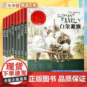 沈石溪动物小说全集正版套装画本第一辑8册的书大全系列儿童文学 最后一头战象小学生四五六年级课外阅读书籍必读经典书目斑羚飞