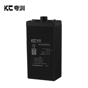 夸汌 蓄电池 NM-2002V200AH(C10) 个