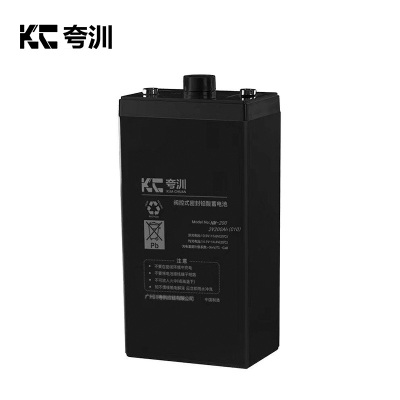 夸汌 蓄电池 NM-2002V200AH(C10) 个