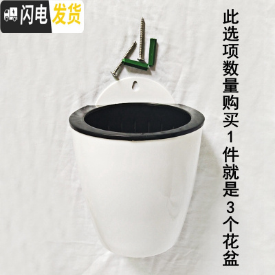 三维工匠白色壁挂储水花盆带挂钩螺钉棉线自动吸浇水挂墙上懒人 [3套]白色壁挂储水花盆+钉子+吸水棉绳 小号中号大花盆容器