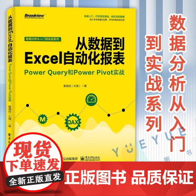 从数据到Excel自动化报表 Power Query和Power Pivot实战 商业智能数据处理Power BI数据分