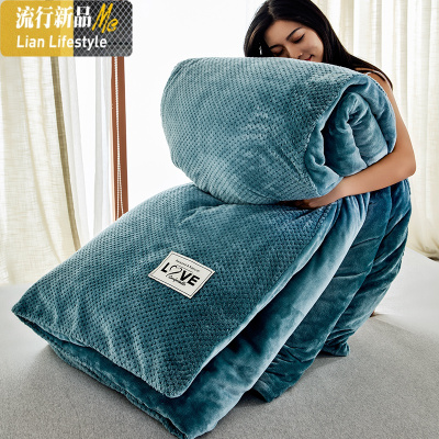 冬天棉被套装被子冬被双人加厚保暖被褥10斤单人学生宿舍春秋被芯 三维工匠