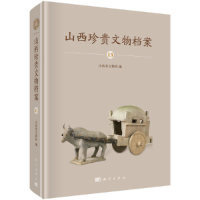 音像山西珍贵文物档案-13山西省文物局