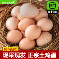 雀淘AA级新鲜土鸡蛋30枚装无沙门氏菌农家放养草鸡蛋营养早餐顺丰发货