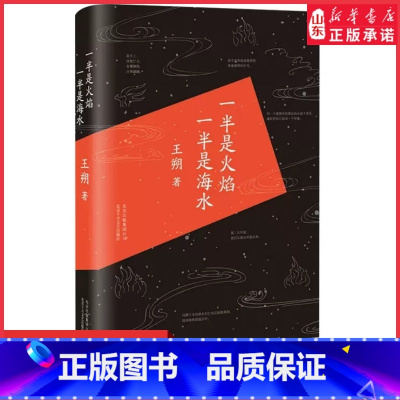 [正版]一半是火焰一半是海水王朔著爱情小说 文学中国现当代随笔 精装版王朔中短篇小说集9787530213643 书店