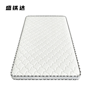 盛铁达 床垫1200*2000*100mm STD-CD1034 张