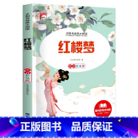 [彩图注音版]红楼梦 [正版]稻草人 小学生一二三年级阅读课外书必读彩图注音版经典古典世界名著班主任老师儿童文学绘本经典