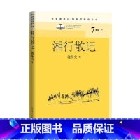 语文 [正版]湘行散记名著课程化·整本书阅读丛书沈从文初中语文名著导读高中语文整本书阅读中学生课外阅读名师领读边城