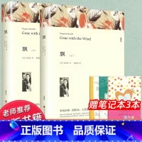世界十大经典名著 飘[上下2册] [正版]全译本无删减飘书原版书籍原著乱世佳人上下册中文版经典世界名著外国文学作品长篇小