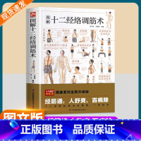 [官方正版]十二经络调筋术 [正版]图解十二经络调筋术十二经筋疏通法全图解一学就会50种经筋病症的康复训练12种经筋功用