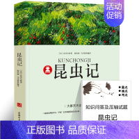 昆虫记 [正版]总有一天会长大 经典版 四年级小学生课外书阅读书籍 青少年儿童课外读物 给孩子们的小说散文随笔 河北少