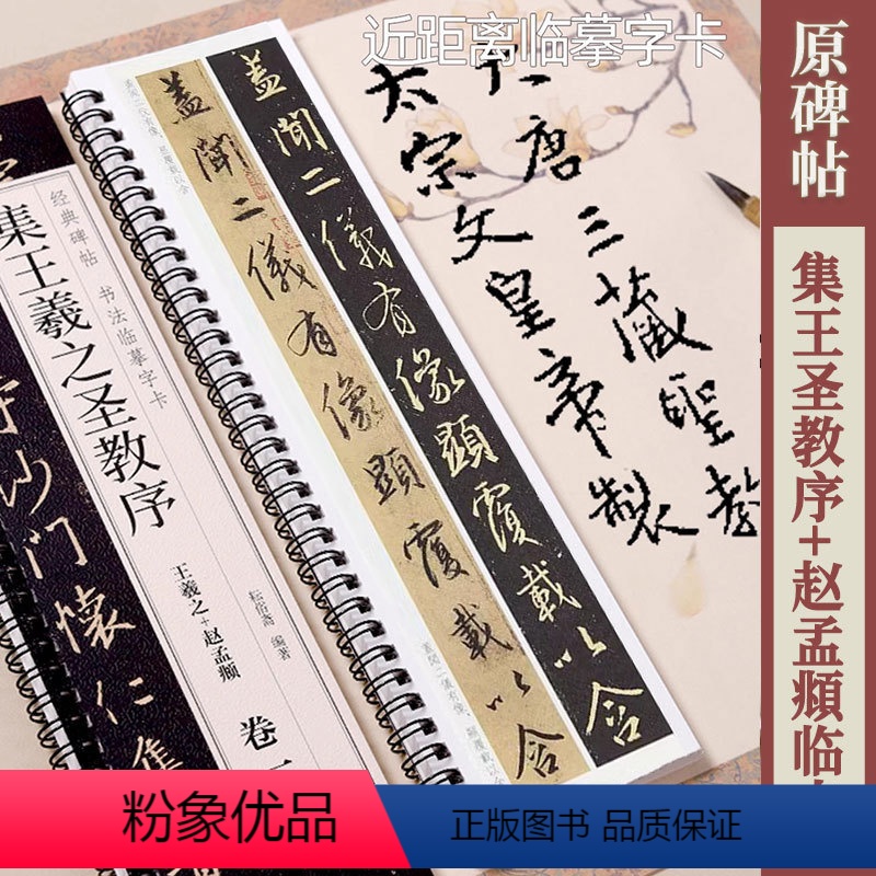 [正版]怀仁集王羲之圣教序+赵孟頫临本 黑龙江美术出版社 经典碑帖书法临摹字卡 2卷全文赵孟頫临对照本行书书法毛笔字卡