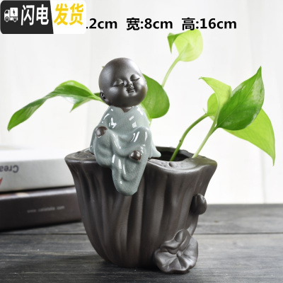 三维工匠创意绿萝水培花瓶容器鲜花植物插花水养花盆器皿客厅装饰品小摆件 莲蓬花器-仰望 中等花盆容器