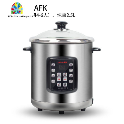 电汤锅家用煲汤隔水炖盅304不锈钢16L全自动电炖锅 FENGHOU 40AFK(适合8-9人)10L钢内胆,4L瓷炖盅