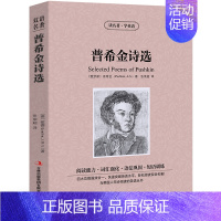 普希金诗选 [正版]普希金诗选 中英文双语书籍名著读物英汉对照小说全套阅读 普希金原著 读名著学英语 高初中生课外阅读