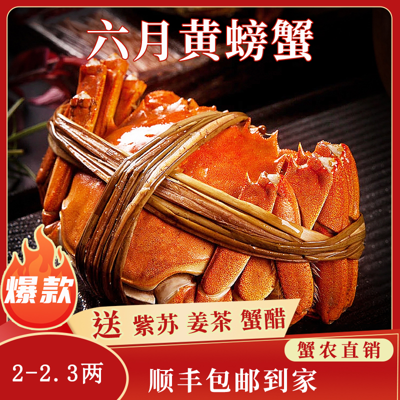 苏州大闸蟹蟹灵阁鲜活六月黄大闸蟹2两10只装公母随机大螃蟹鲜甜满黄直达到家死蟹包赔