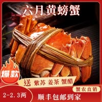 苏州大闸蟹蟹灵阁鲜活六月黄大闸蟹2两10只装公母随机大螃蟹鲜甜满黄直达到家死蟹包赔