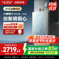 史密斯佳尼特[小精钢TCS5]16升精钢燃气热水器 国家补贴 JSQ31-TCS5 安全守护 持久恒温大水量 新品
