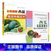 [正版]全2册西瓜疑难杂症图片对照诊断与处方第2版+彩色图解西瓜高效种植技术病虫害及其防治书籍 专业科技农业基础科学菜