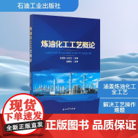 炼油化工工艺概论 孙昱东,山红红 编 化学工业专业科技 正版图书籍 石油工业出版社