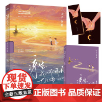 凉生,我们可不可以不忧伤3子夜歌(纪念版)(《凉生》系列全新修订,经典回归,与你共赴十七年之约;百万,一代人的青春回